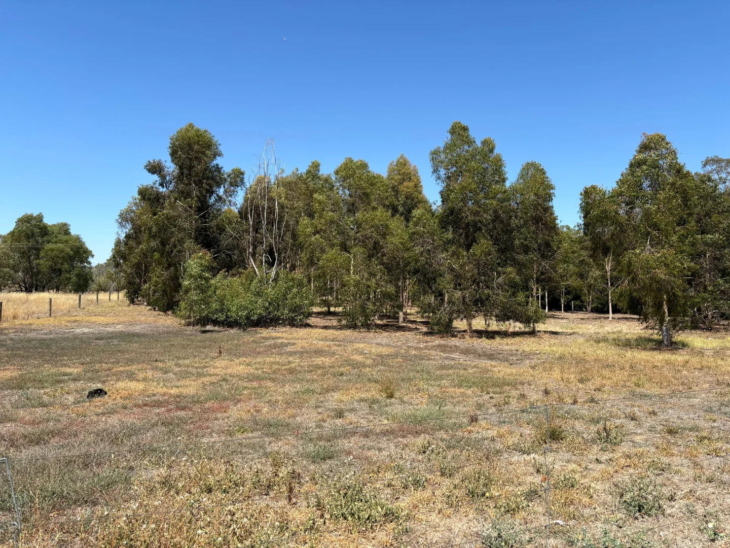 Additional image 30 of 2396 Webb Road, Nanneella VIC 3561