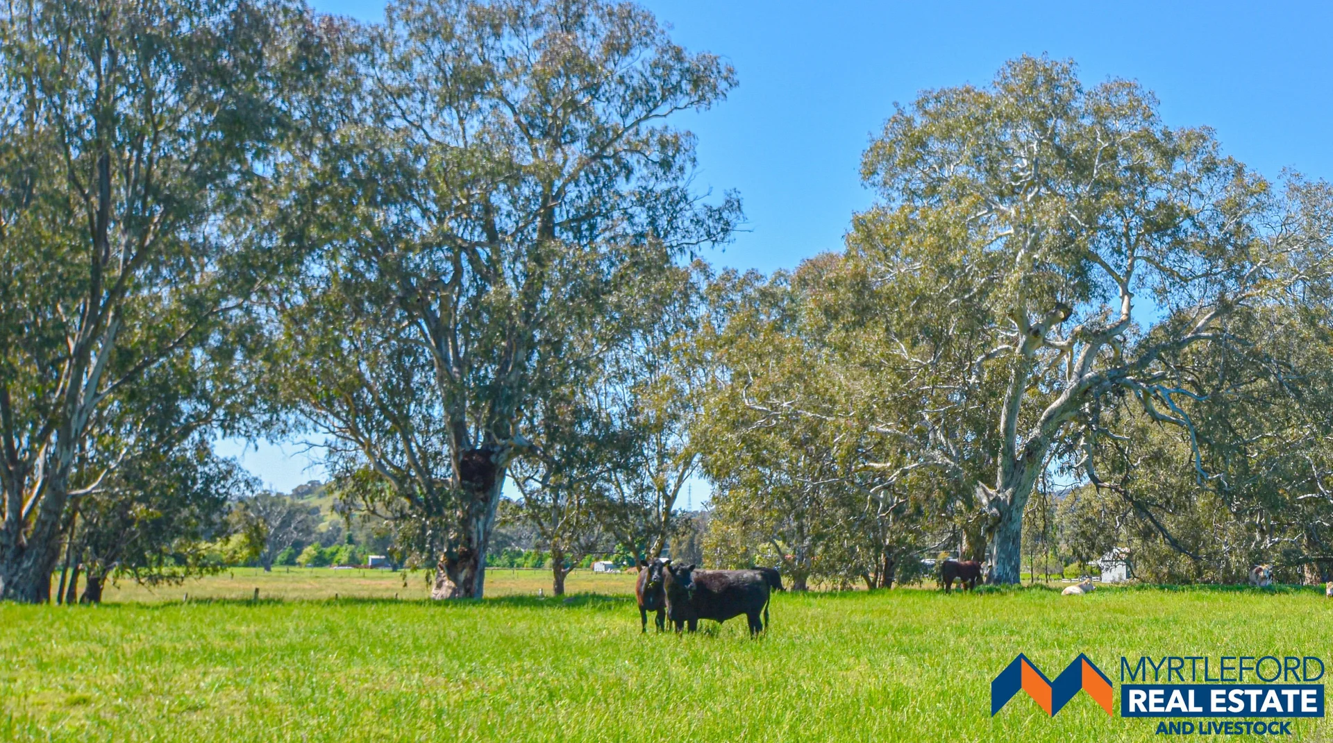 Additional image 14 of 599-577 Whorouly River Road, Whorouly VIC 3735