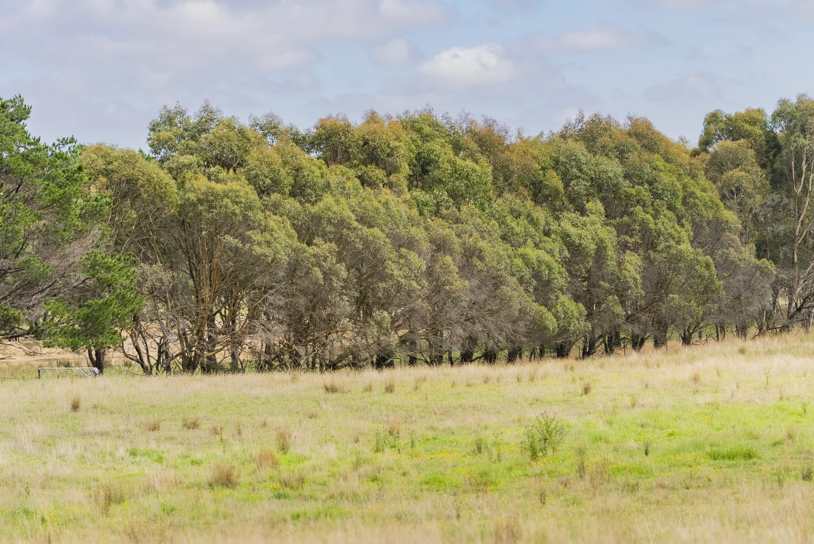 Additional image 19 of 251 Mount Rae Road, Roslyn NSW 2580