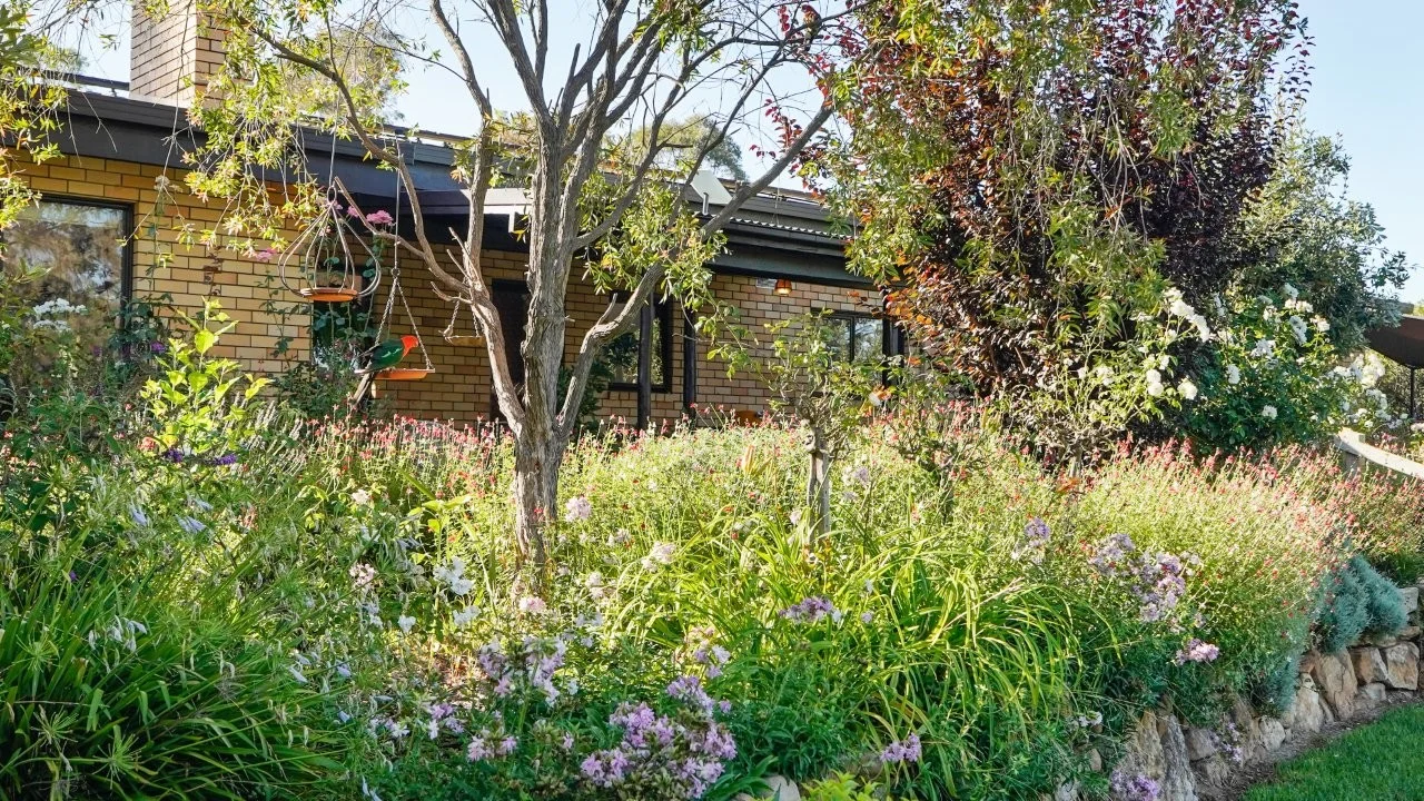 Additional image 12 of 295 Timor Road, Coonabarabran NSW 2357