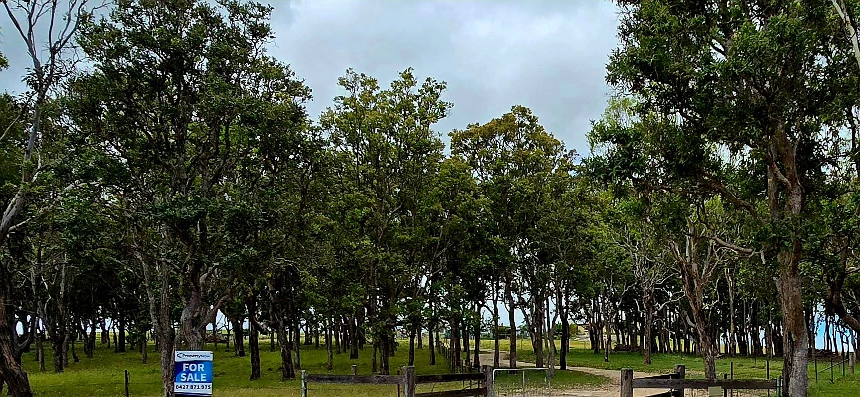 Additional image 34 of 1191 Black Swamp Road, Tenterfield NSW 2372