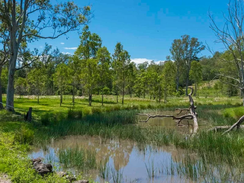 Additional image 7 of 5176 Kyogle Road, Cawongla NSW 2474