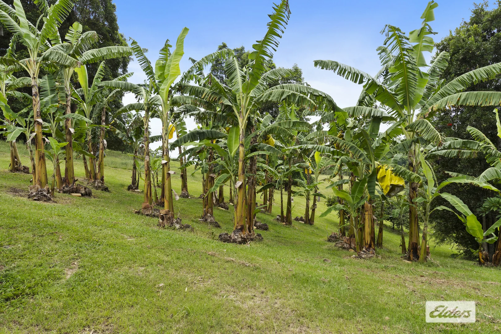 Additional image 22 of 354 Kunghur Creek Road, Kunghur Creek NSW 2484