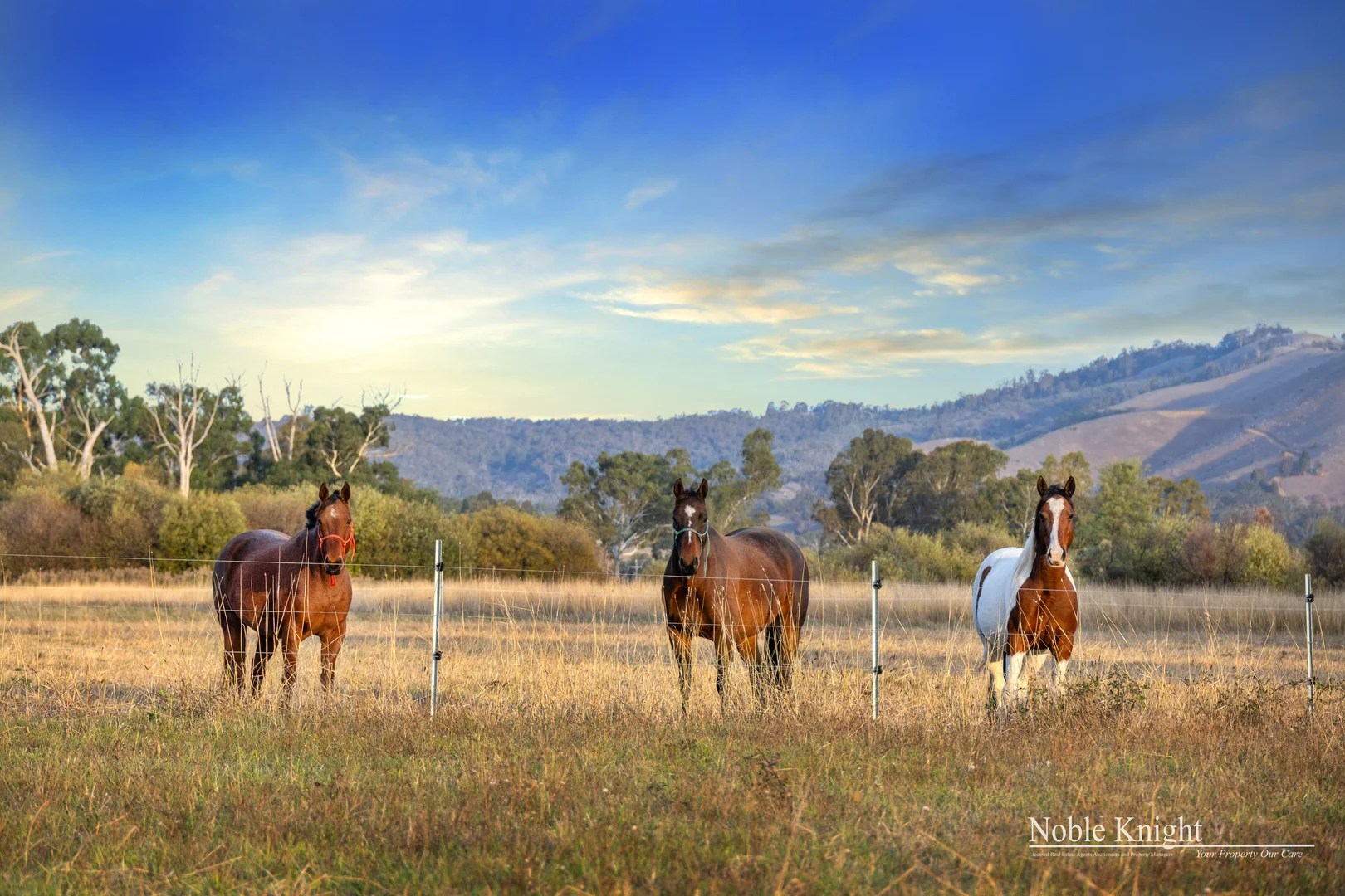 Additional image 30 of 2527 Broadford-Flowerdale Road, Strath Creek VIC 3658