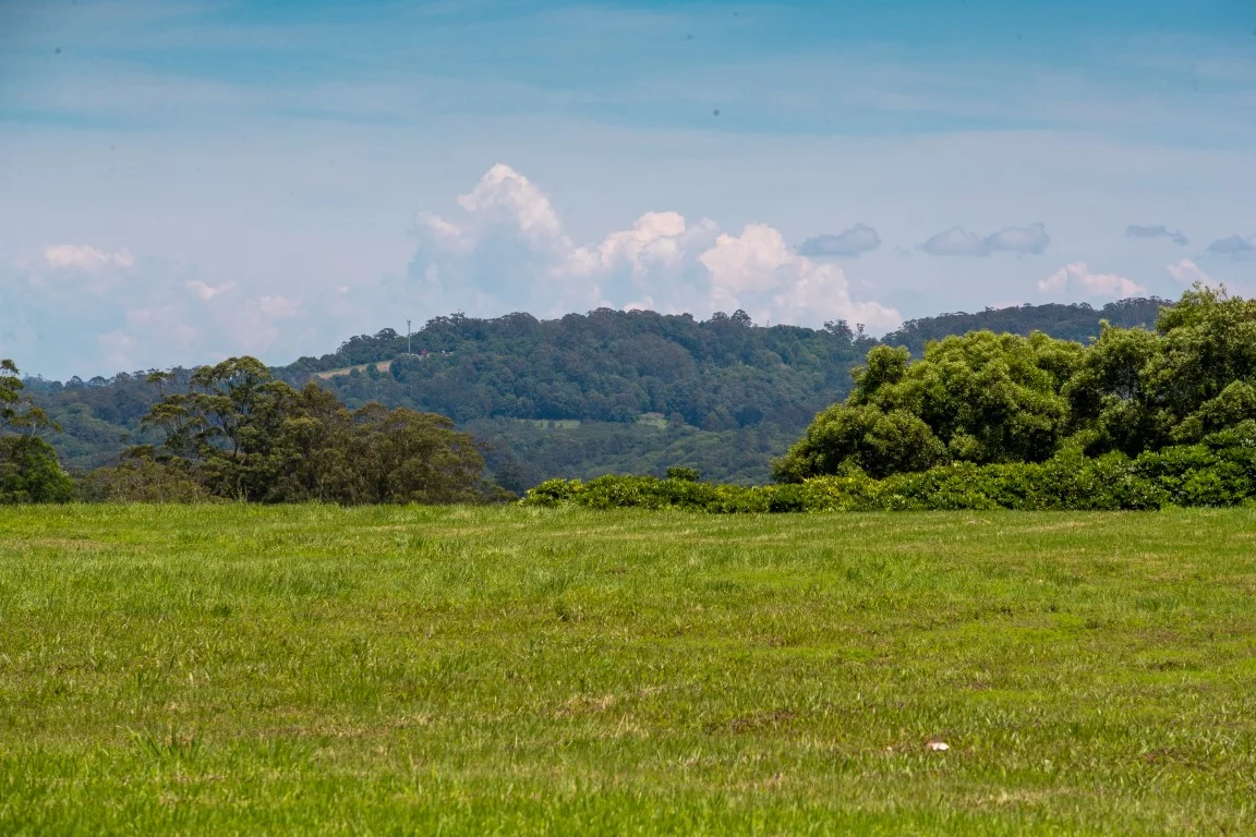 Additional image 25 of 709 Federal Drive, Federal NSW 2480