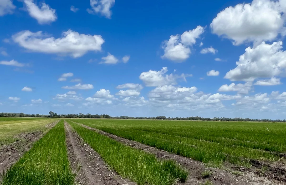 Additional image 15 of 360 Bungawalbin Whiporie Road, Bungawalbin NSW 2469