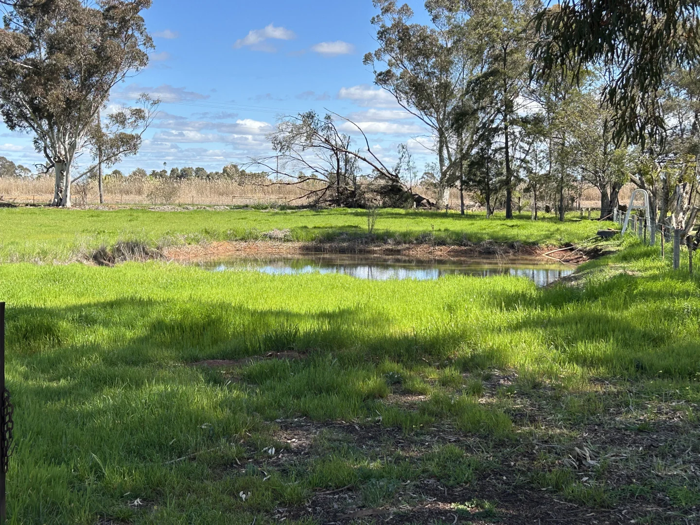 Additional image 19 of 119 Regulator Road, Yanco NSW 2703