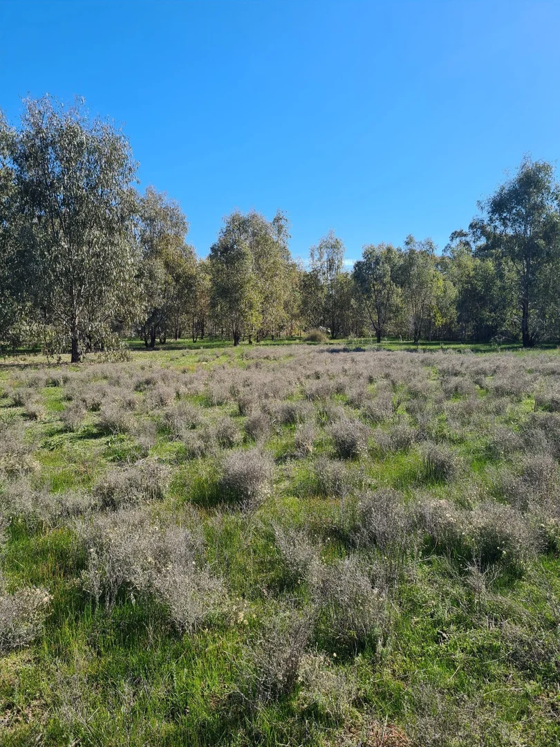 Additional image 21 of 78 Louies Hut Road, Moama NSW 2731