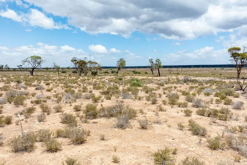 Additional image 18 of Sections 3 Murraylands Road, Blanchetown SA 5357