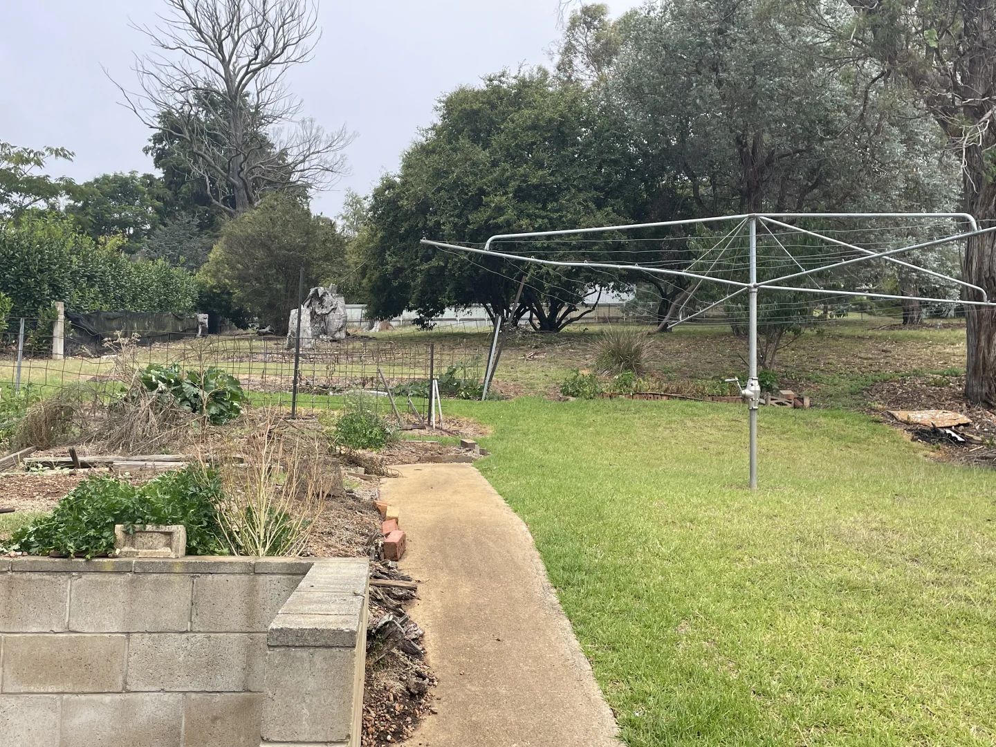 Additional image 12 of 157W Croudace Street, Walcha NSW 2354