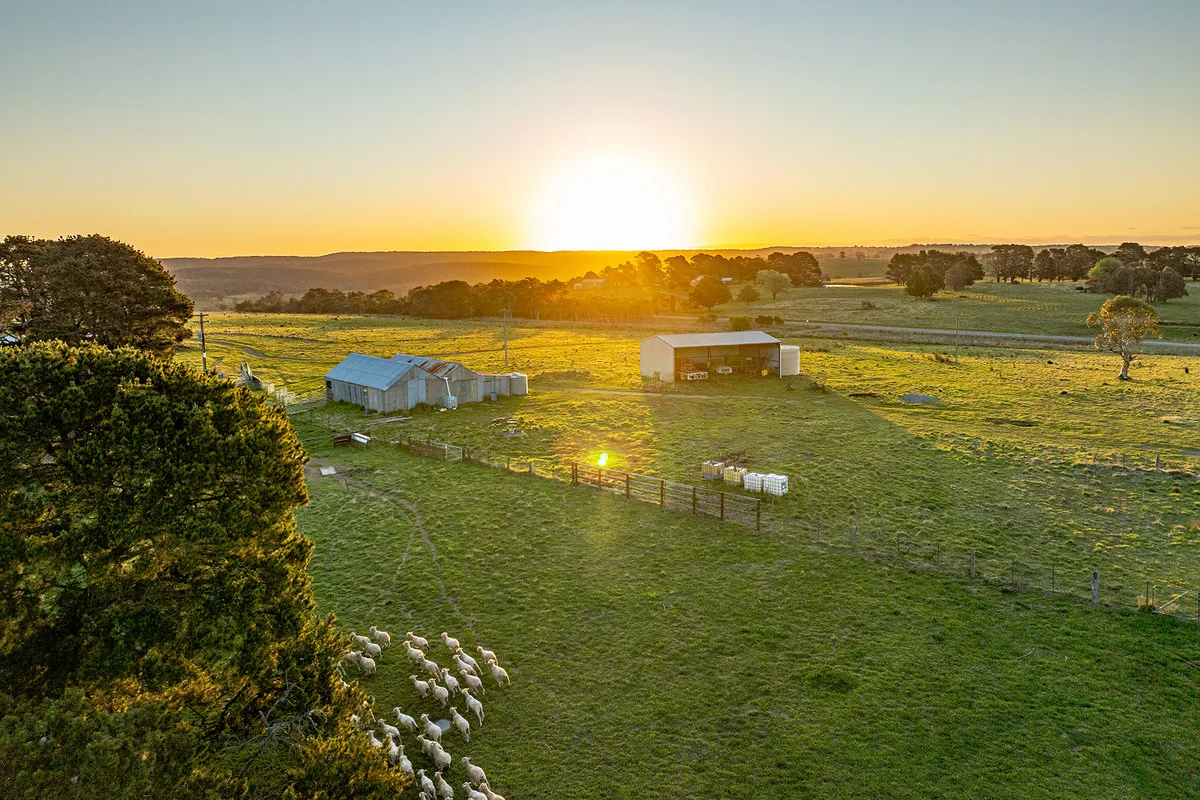 Additional image 3 of "Lochiel" 3234 Taralga Road, Tarlo NSW 2580