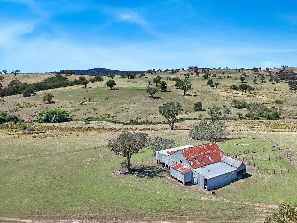 Additional image 3 of 46 Hearn Street, Bigga NSW 2583