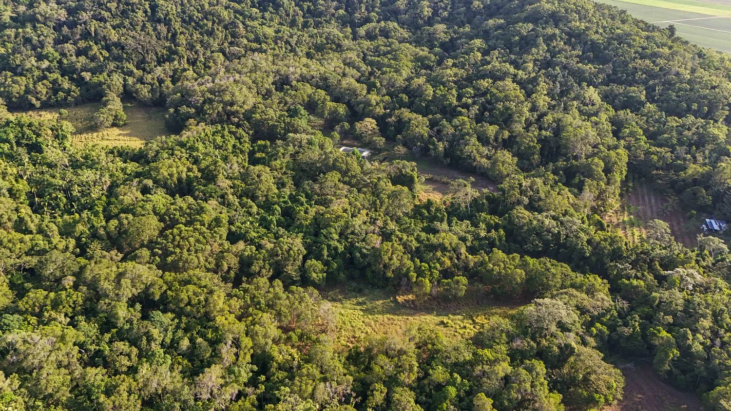 Additional image 37 of 1060 Pine Creek Yarrabah Road, East Trinity QLD 4871