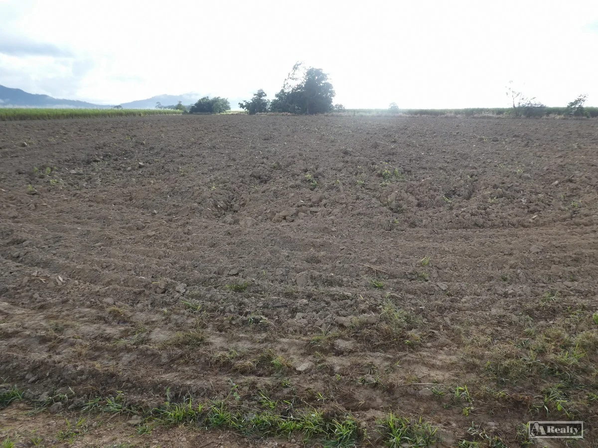 Additional image 6 of Midgenoo QLD 4854