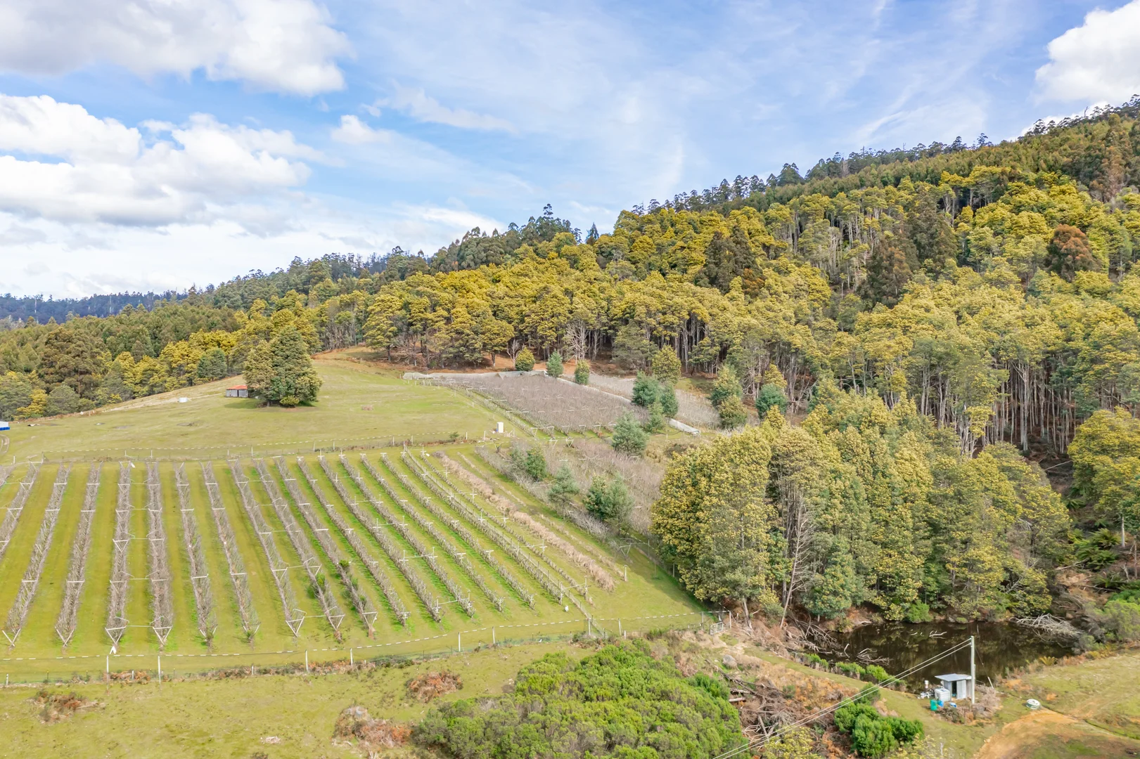 Additional image 32 of 304 Dickensons Creek Road, Glen Huon TAS 7109