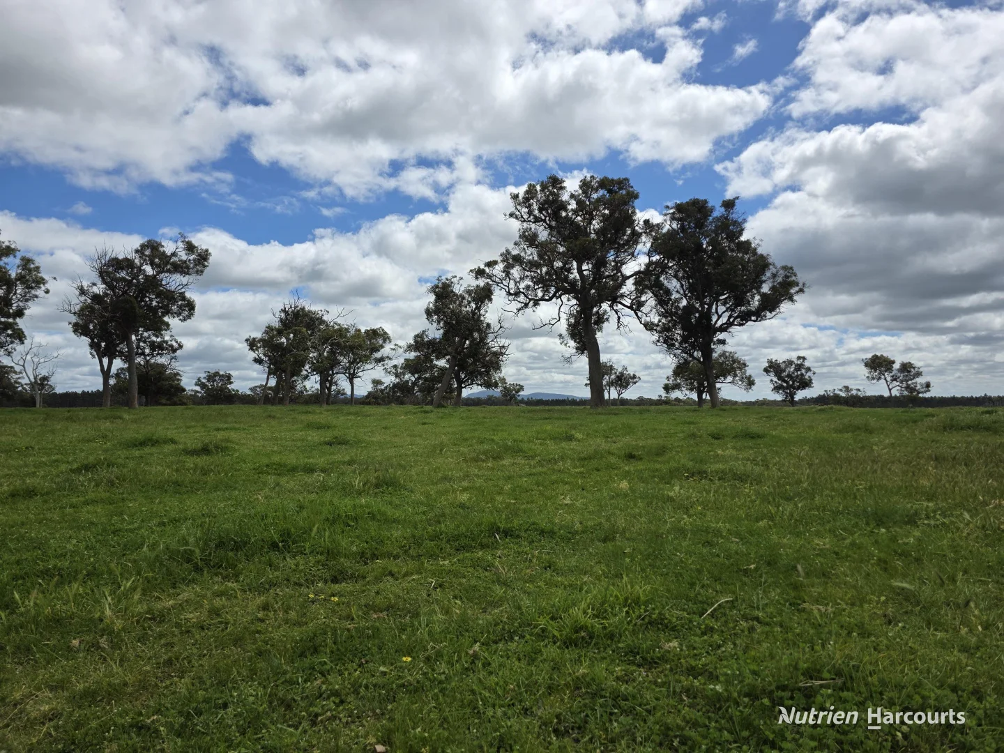 Additional image 20 of 1867 Chester Pass Road, Napier WA 6330