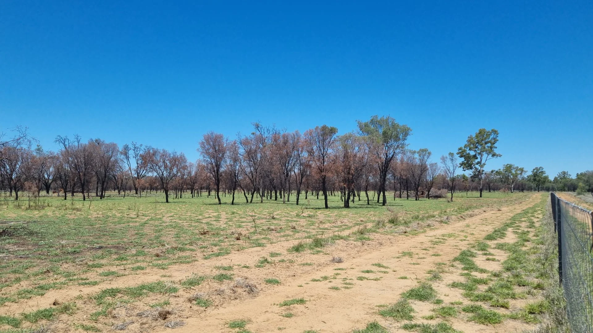 Additional image 8 of 202-410 Wallal Street, Bakers Bend QLD 4470