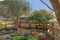 Additional image 11 of 249 Trinity Ave, Kensington, CA, 94708