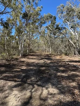 Additional image 2 of 671 Towrang Road, Towrang NSW 2580