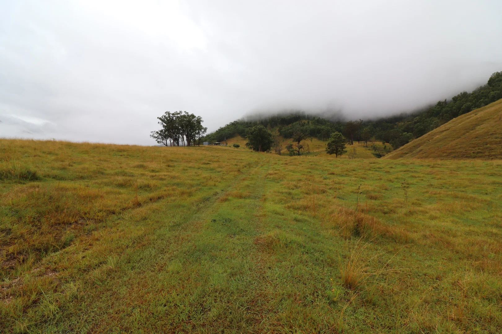 Additional image 3 of 8282 Armidale Road, Lower Creek NSW 2440