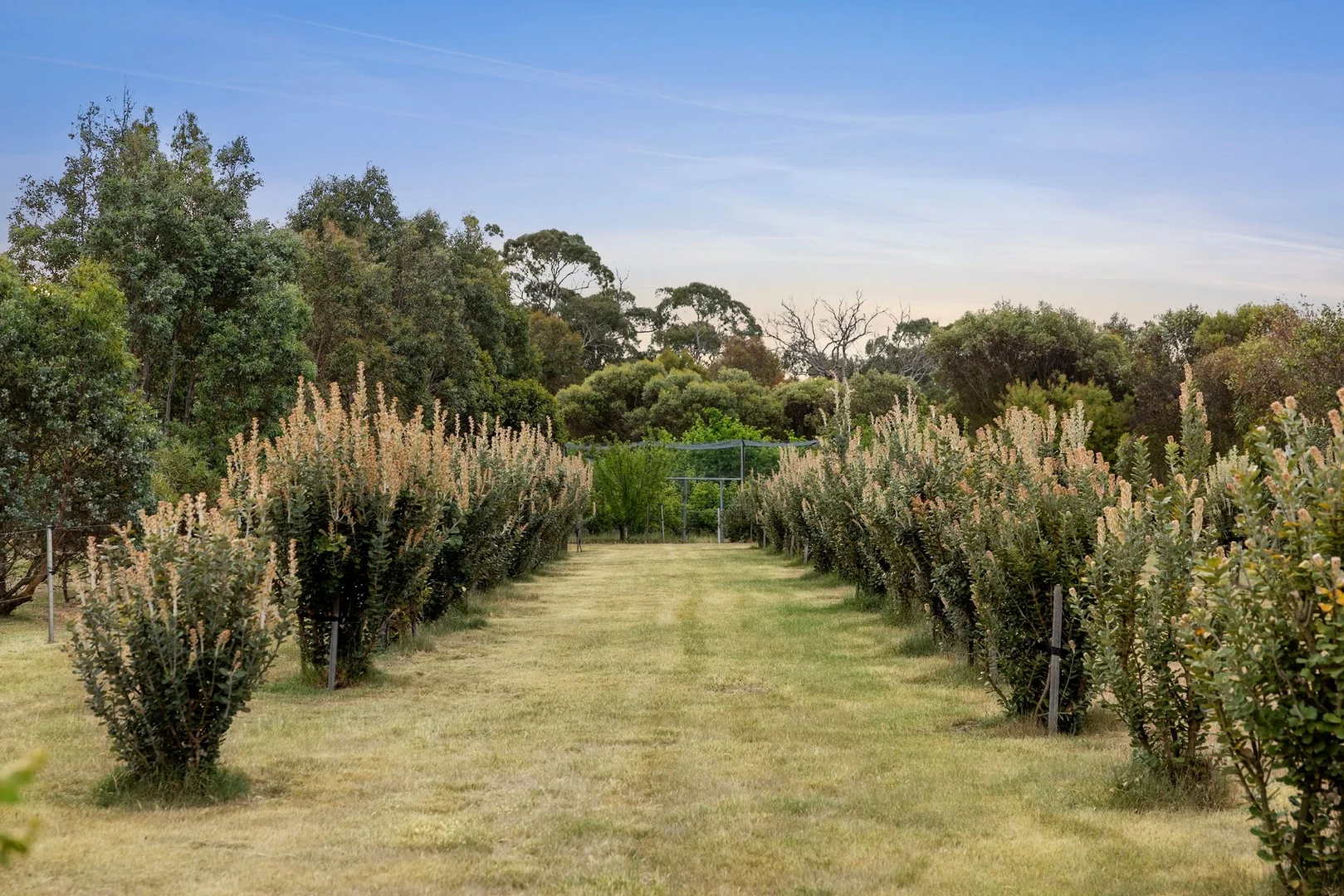 Additional image 15 of 366 Savage Hill Road, Dereel VIC 3352