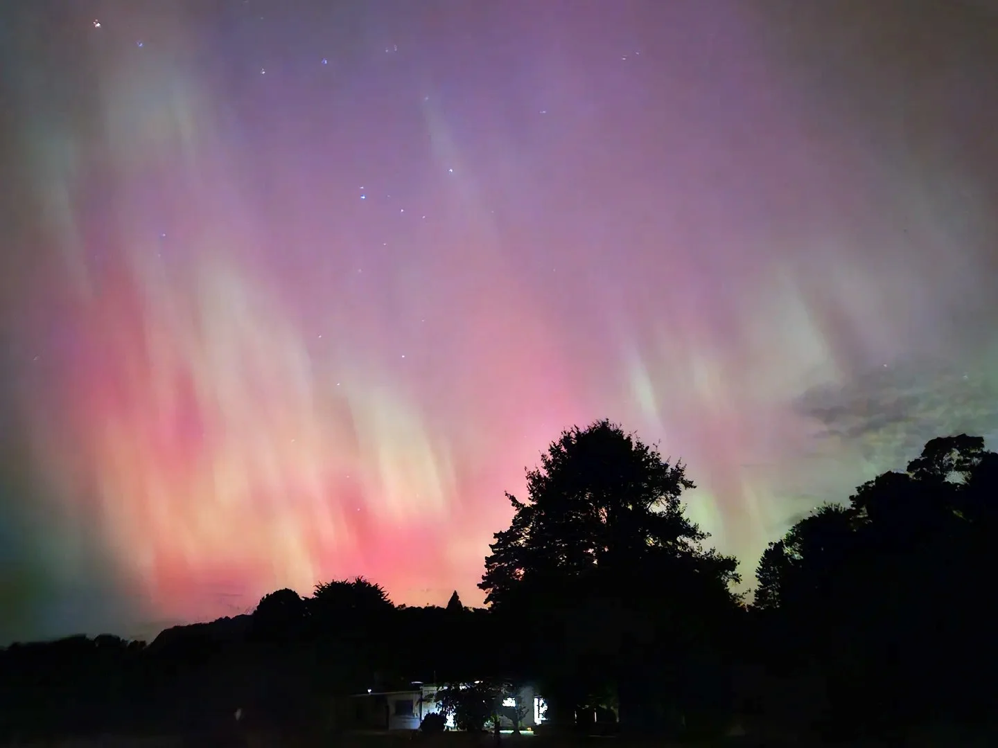 Additional image 10 of 12384 Murchison Highway, Rosebery TAS 7470