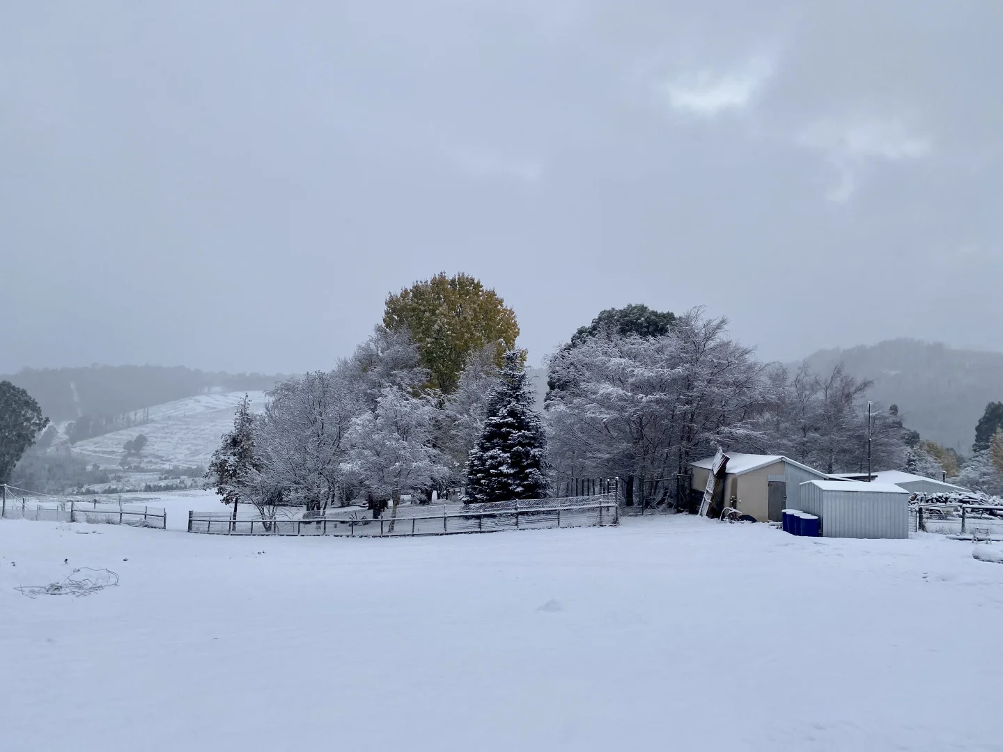 Additional image 51 of 304 Dickensons Creek Road, Glen Huon TAS 7109