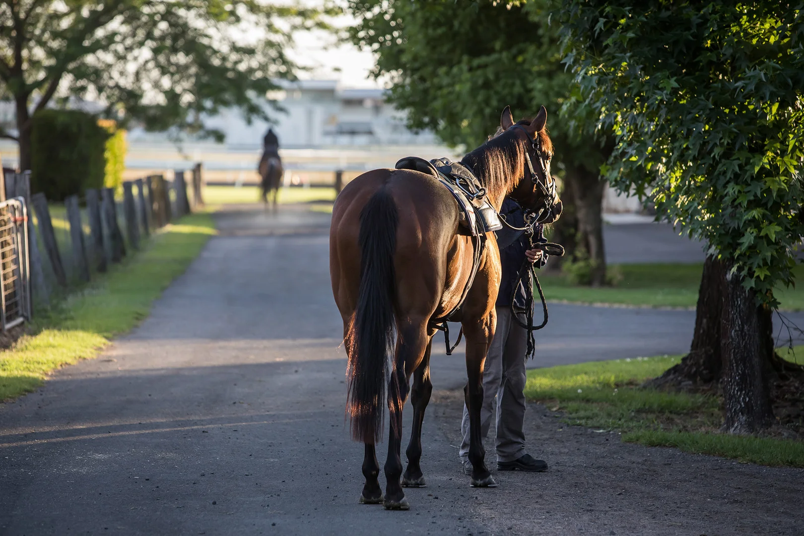 Additional image 7 of 131 Racecourse Road, Clarendon NSW 2756
