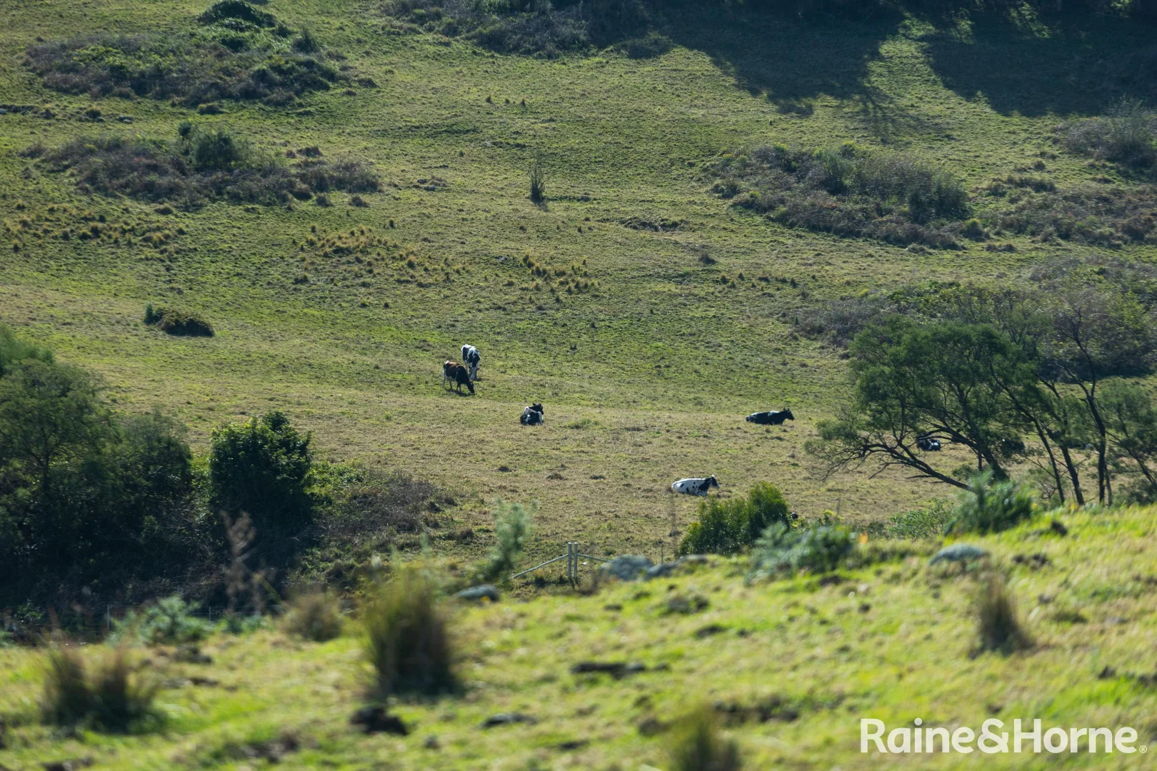 Additional image 7 of Lot 31, 7 Gordon Street, Milton NSW 2538