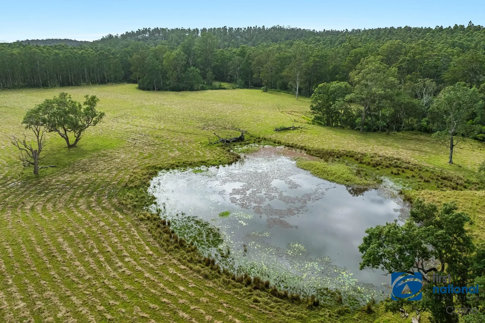 Additional image 13 of 1212 Beaury Creek Road, Urbenville NSW 2475