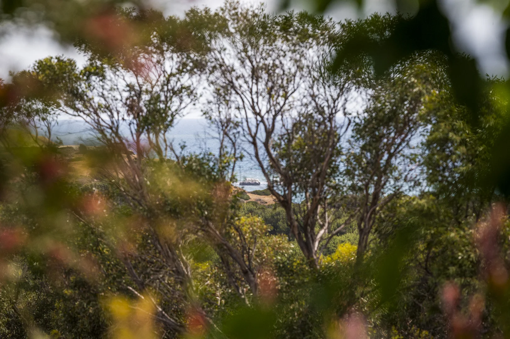 Additional image 36 of 8 Oleander Road, Maslin Beach SA 5170