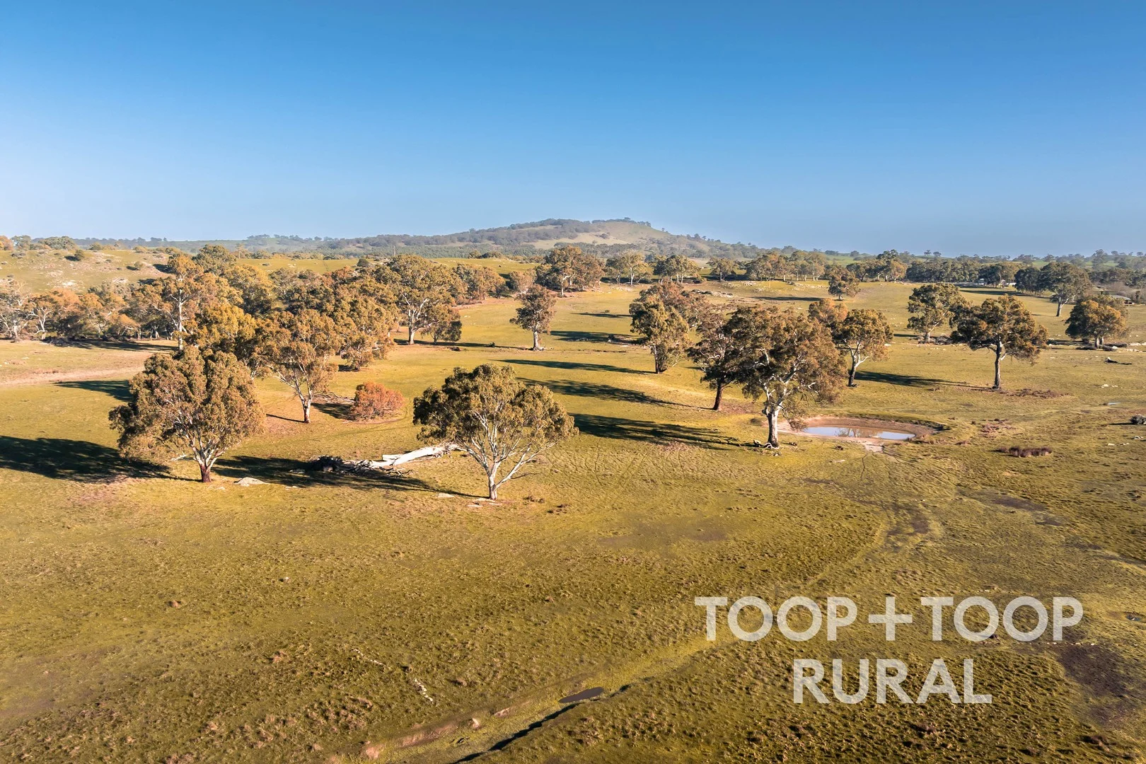 Additional image 10 of 232 Brownes Road, Pewsey Vale SA 5351