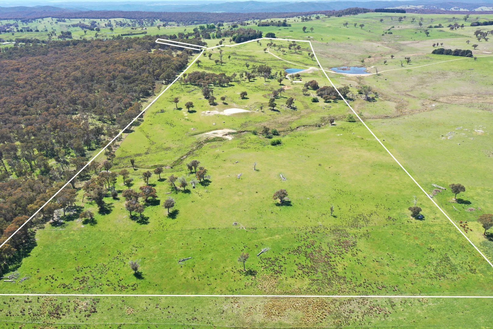 Additional image 25 of 1709 Bigga Road, Bigga NSW 2583