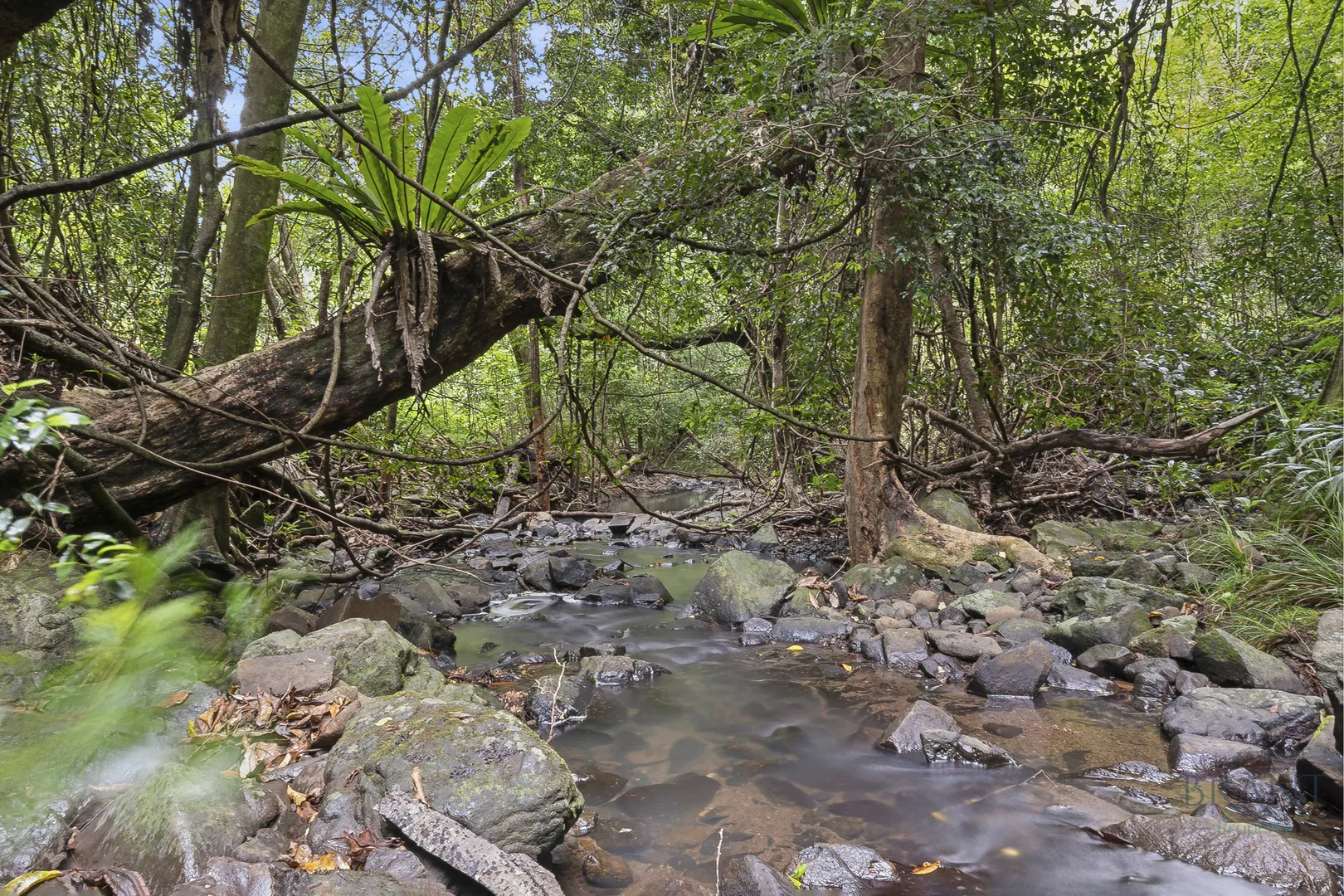 Additional image 14 of Dulong QLD 4560