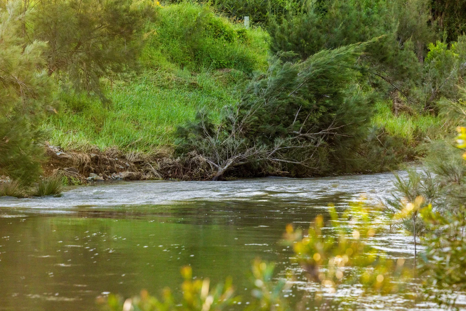Additional image 5 of 189 (Lot 33) Eastern Mary River Road, Conondale QLD 4552