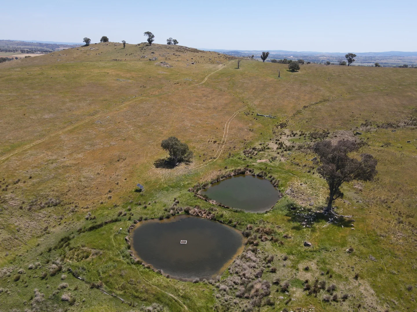 Additional image 5 of 250 Emu Creek Road, Canowindra NSW 2804