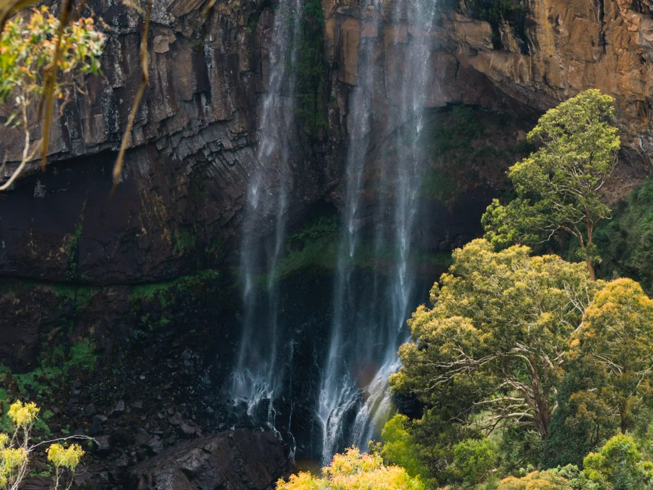 Additional image 17 of 10392 Armidale Road, Hernani NSW 2453