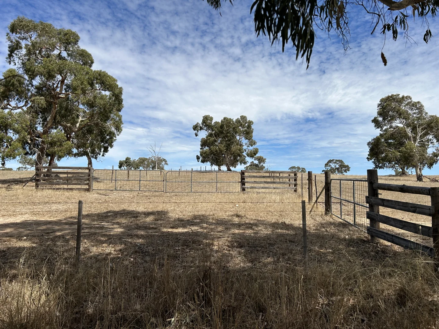 Additional image 19 of Lot 189 and 323 Roy Lawries Road, Lochaber SA 5271