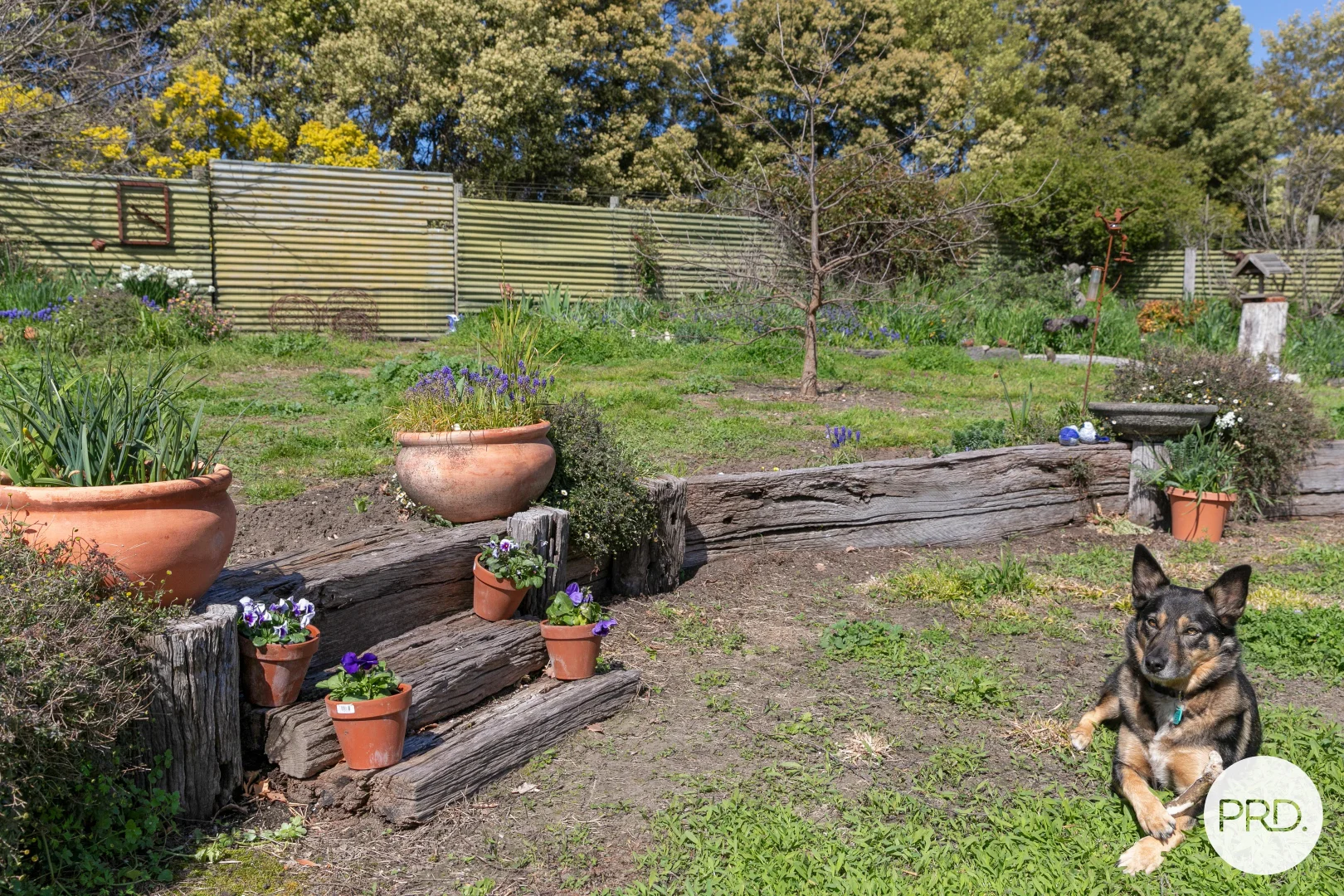 Additional image 19 of 4141 Creswick-Newstead Road, Allendale VIC 3364