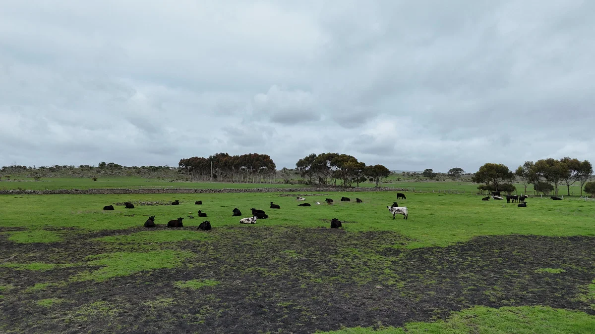 Additional image 12 of 205 South Cundare Road, Beeac VIC 3251