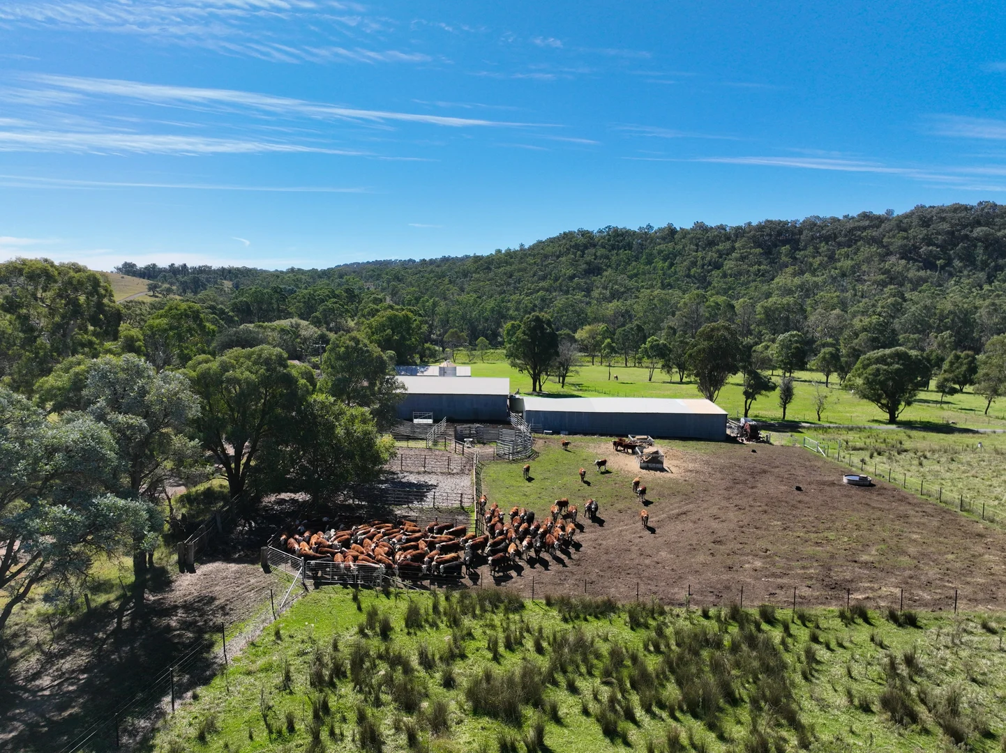 Additional image 23 of 710 Inverary Road, Paddys River NSW 2577