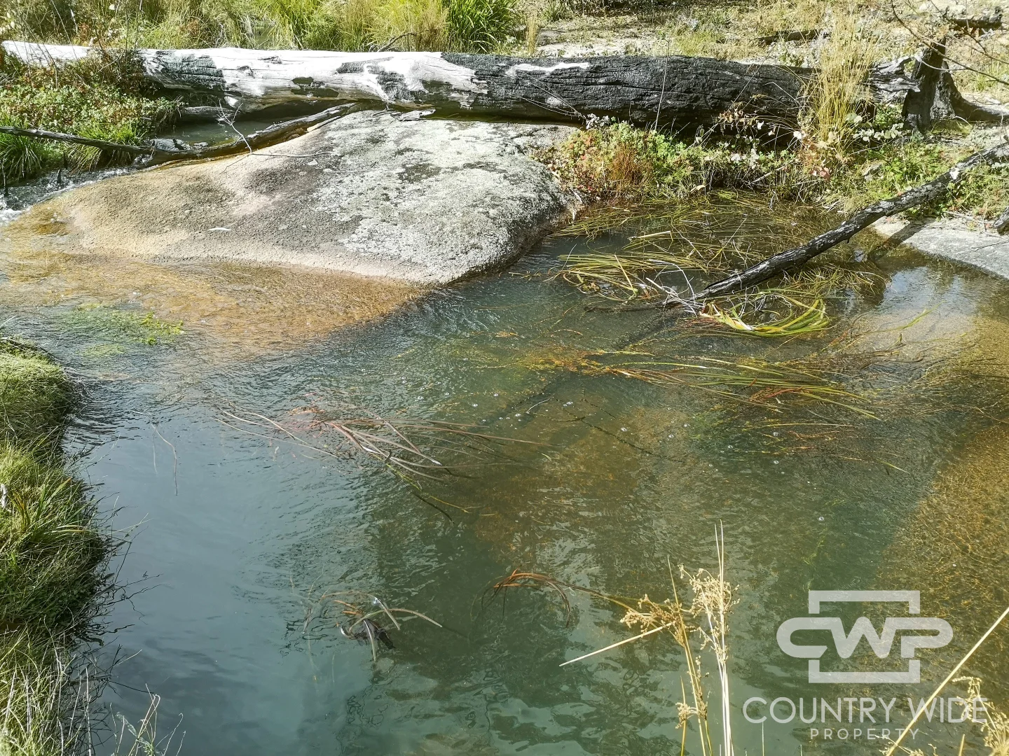 Additional image 19 of 2 Carrot Farm Road, Deepwater NSW 2371
