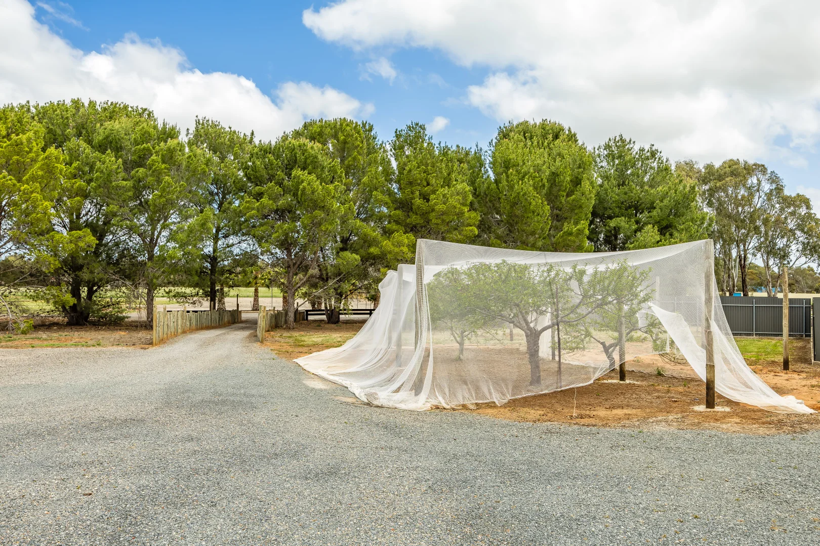 Additional image 43 of 726 Langhorne Creek Road, Belvidere SA 5255