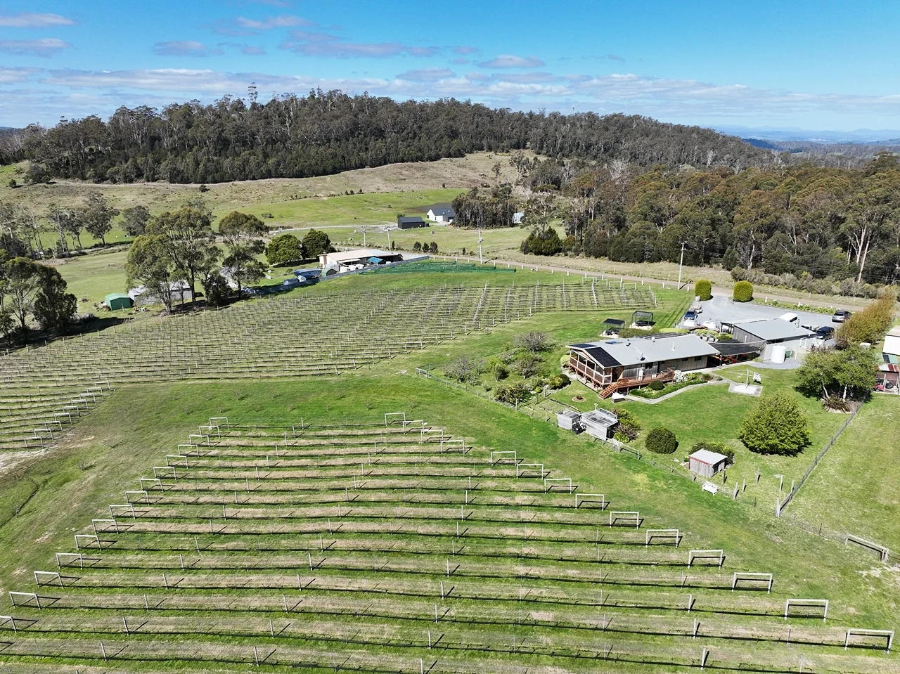 Additional image 2 of 150 Hjorts Road, Loira TAS 7275
