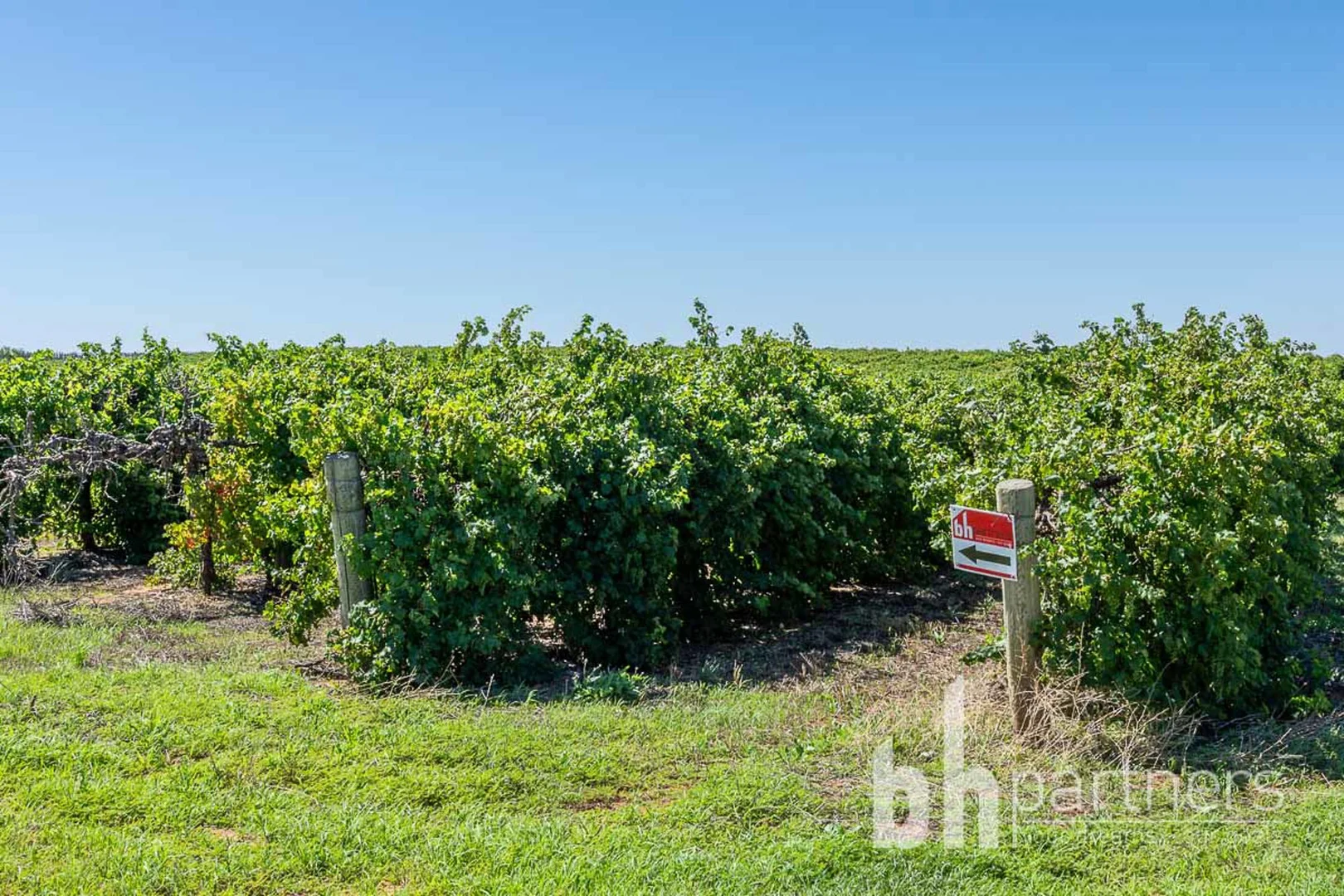 Additional image 2 of Greenways Road & Heywood Drive, Nildottie SA 5238