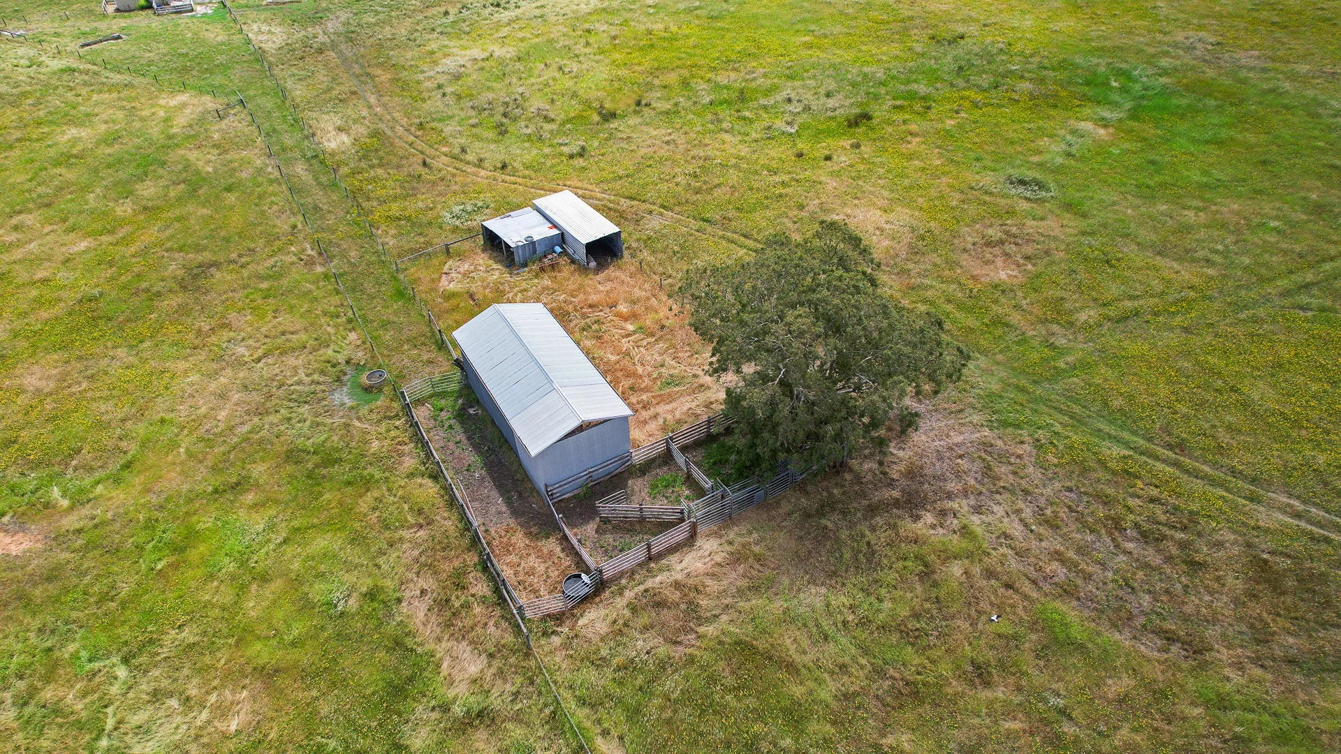 Additional image 9 of Lot 459 Riddoch Hwy, Dismal Swamp SA 5291