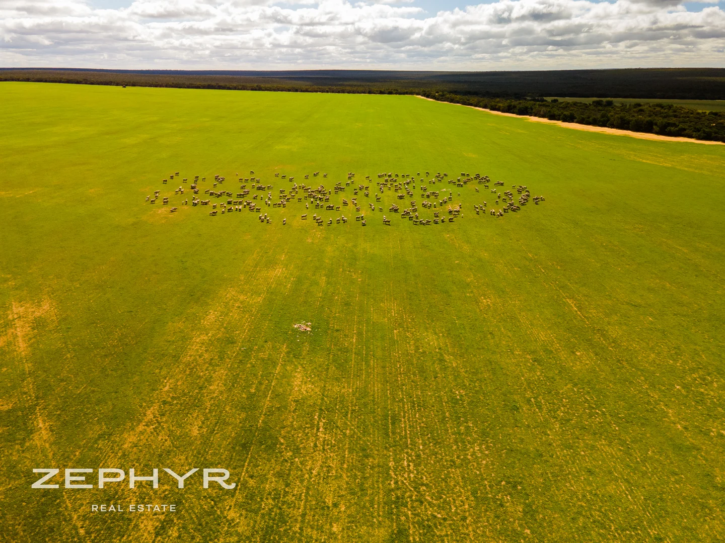 Additional image 32 of 885 Brennand Road, South Yilgarn WA 6426