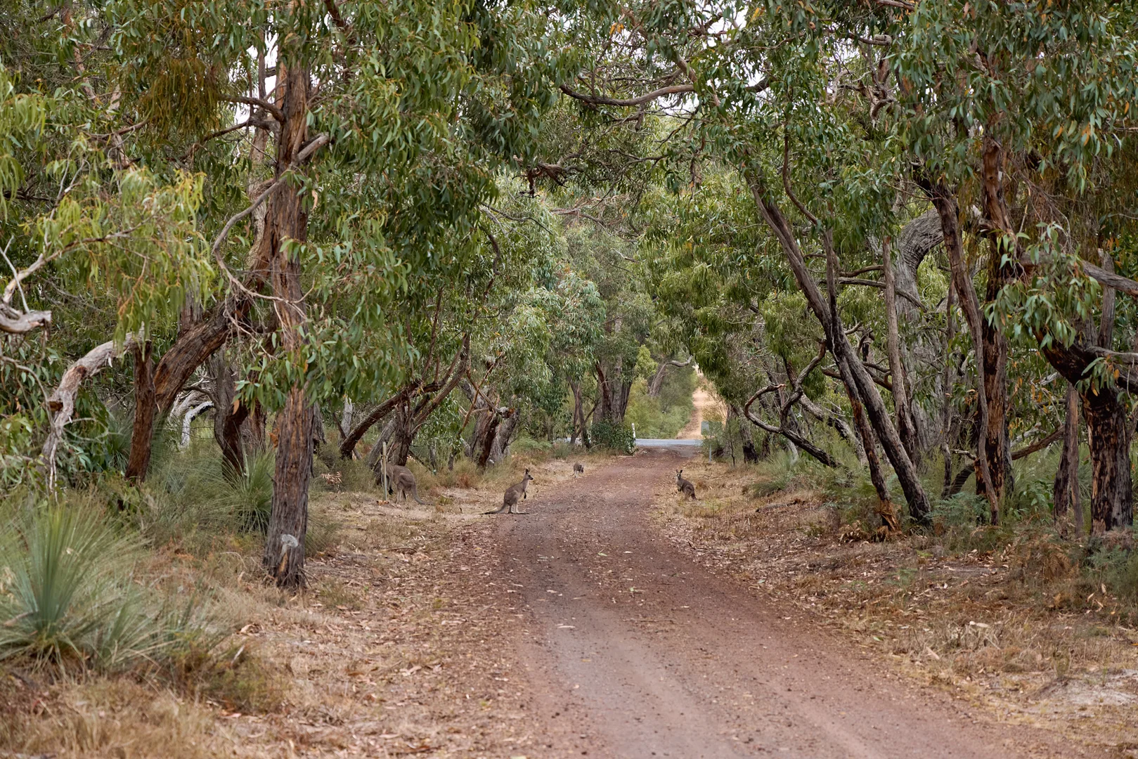 Additional image 30 of 586 Victoria Valley Road, Dunkeld VIC 3294