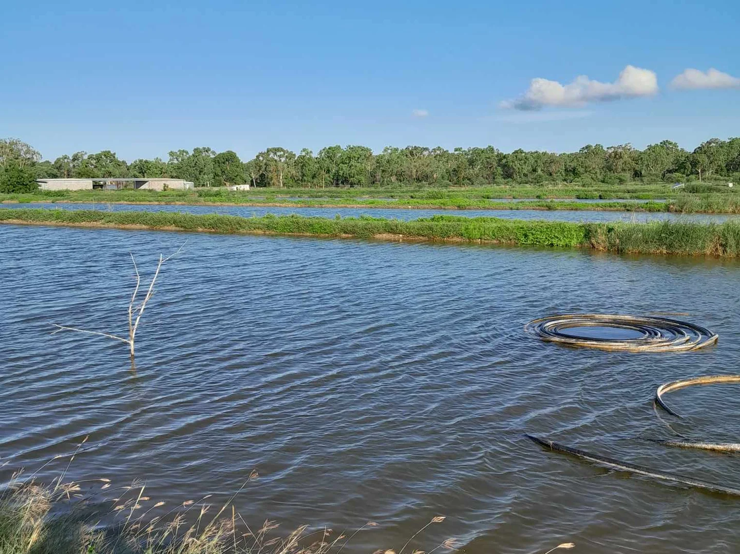 Additional image 22 of 697 Bootooloo Road, Bowen QLD 4805