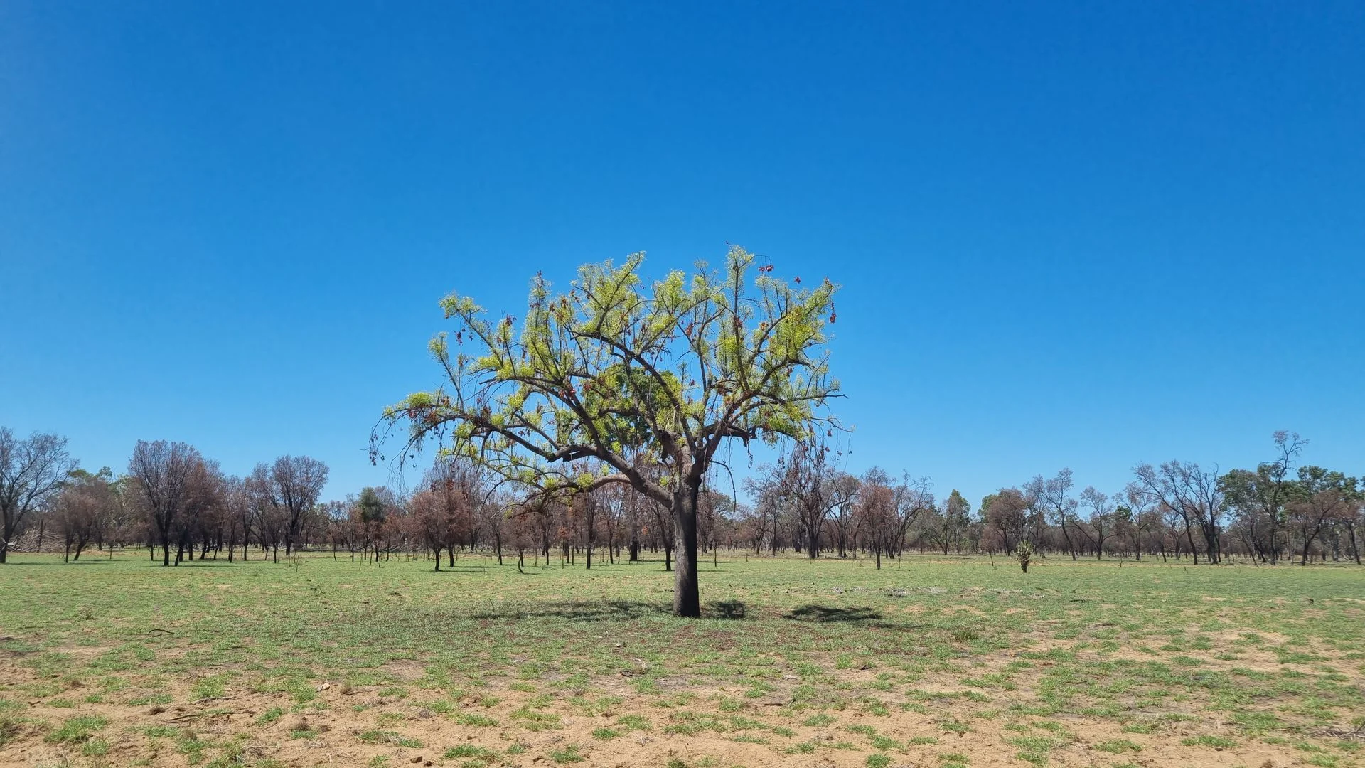 Additional image 3 of 202-410 Wallal Street, Bakers Bend QLD 4470